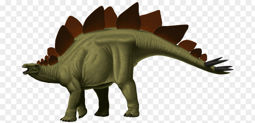 Dinosaur Tyrannosaurus Stegosaurus Cretaceous–Paleogene Extinction Event Styracosaurus PNG