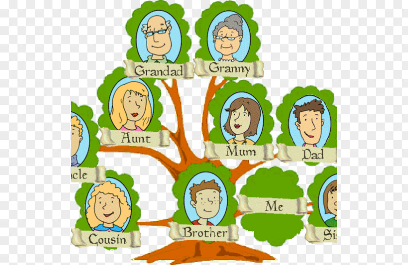 Family Tree Genealogy Child Template PNG