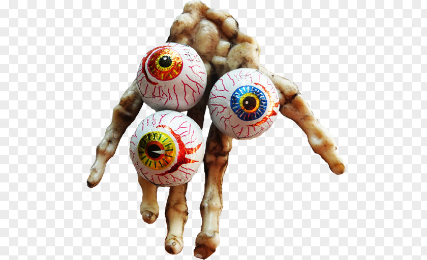First Eye Stuffed Animals & Cuddly Toys Plush PNG