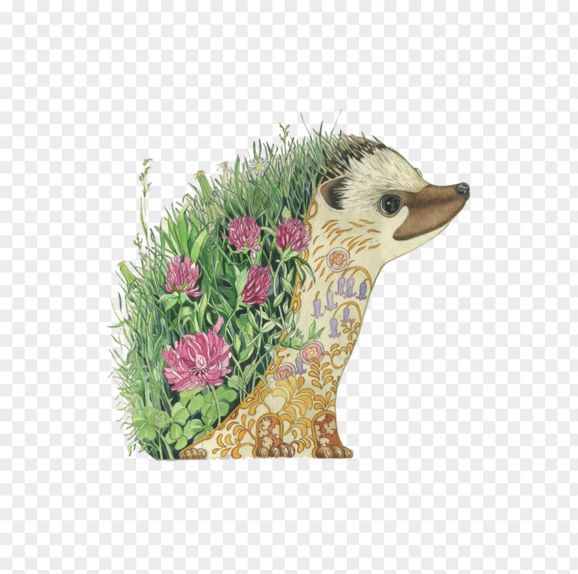 Flower Hedgehog Artist Watercolor Painting Drawing PNG