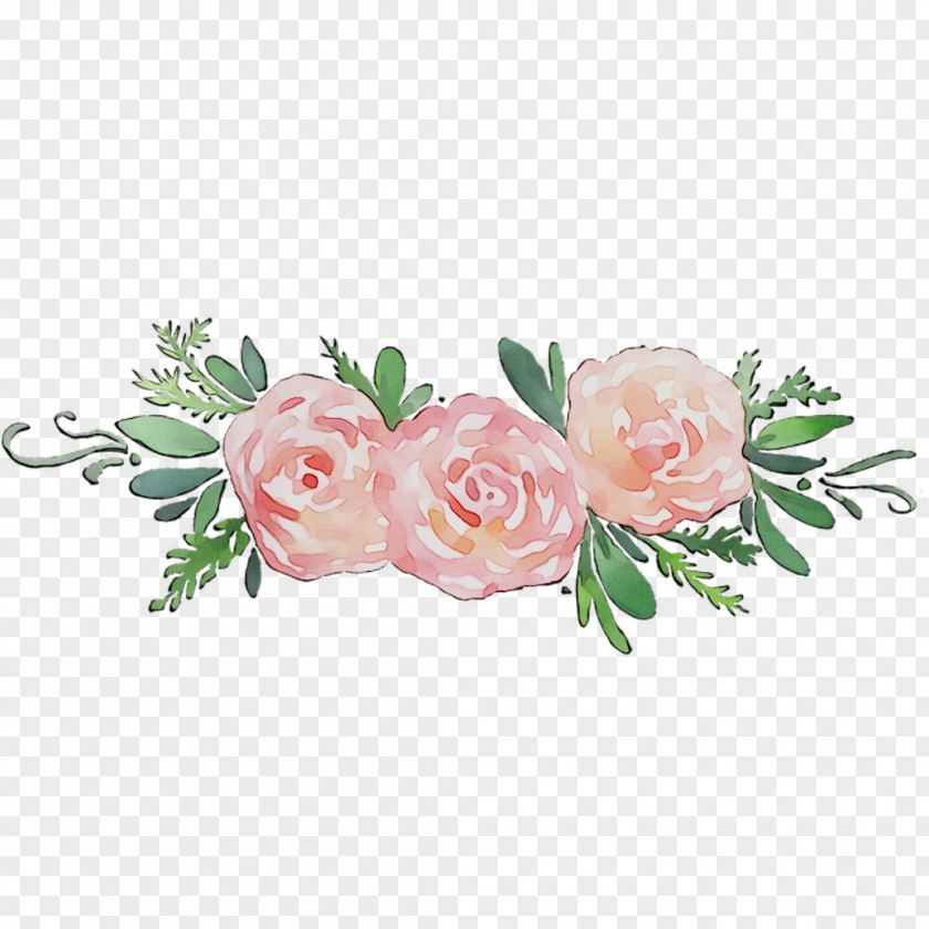 Garden Roses Cabbage Rose Floral Design Cut Flowers PNG