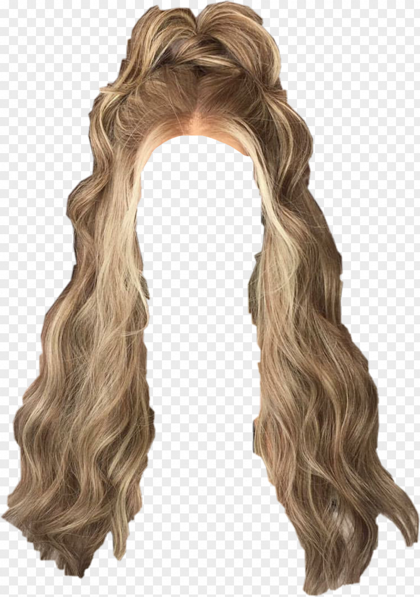 Hair Long Blond Wig Coloring PNG