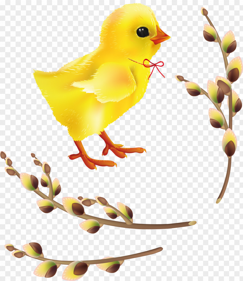 People Can Not Help But Want To Touch Chick Easter Bunny Clip Art PNG