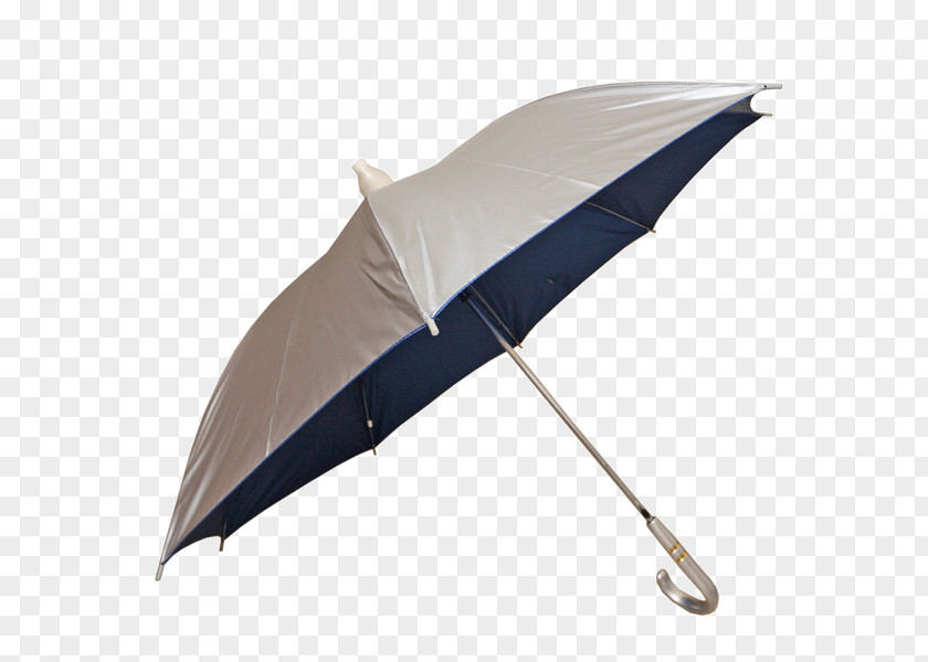 Umbrella PNG