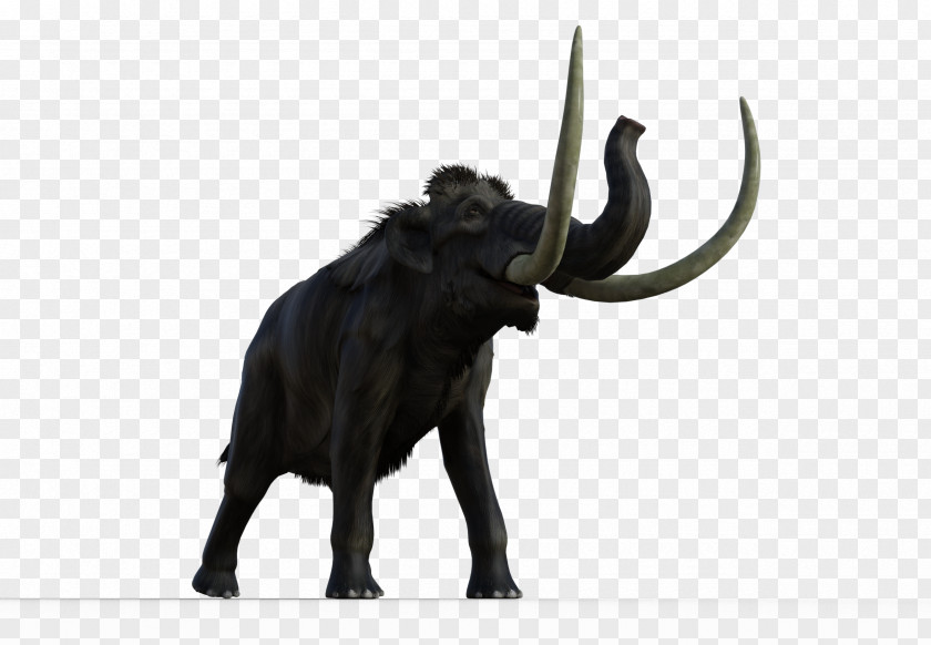 Woolly Mammoth Indian Elephant African Cattle Lakes Bull PNG