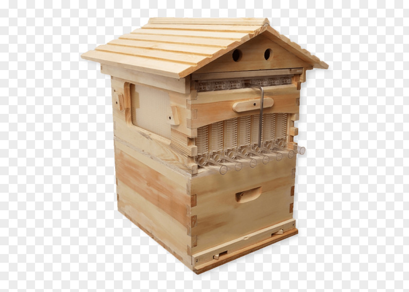 Bee Beehive Hive Frame Brood Flow PNG