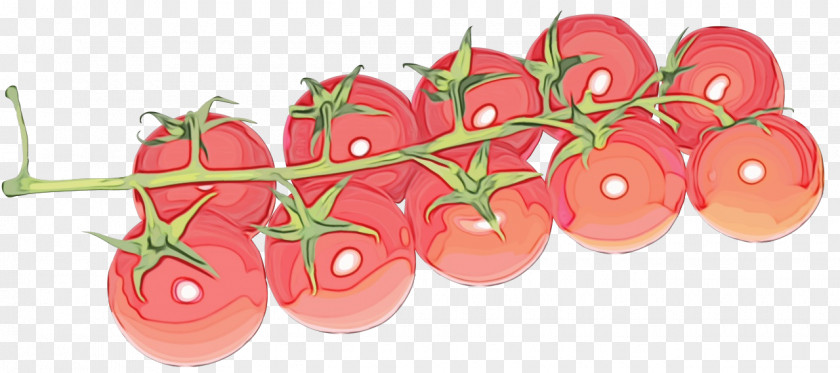 Cherry Tomatoes Natural Foods Tomato PNG