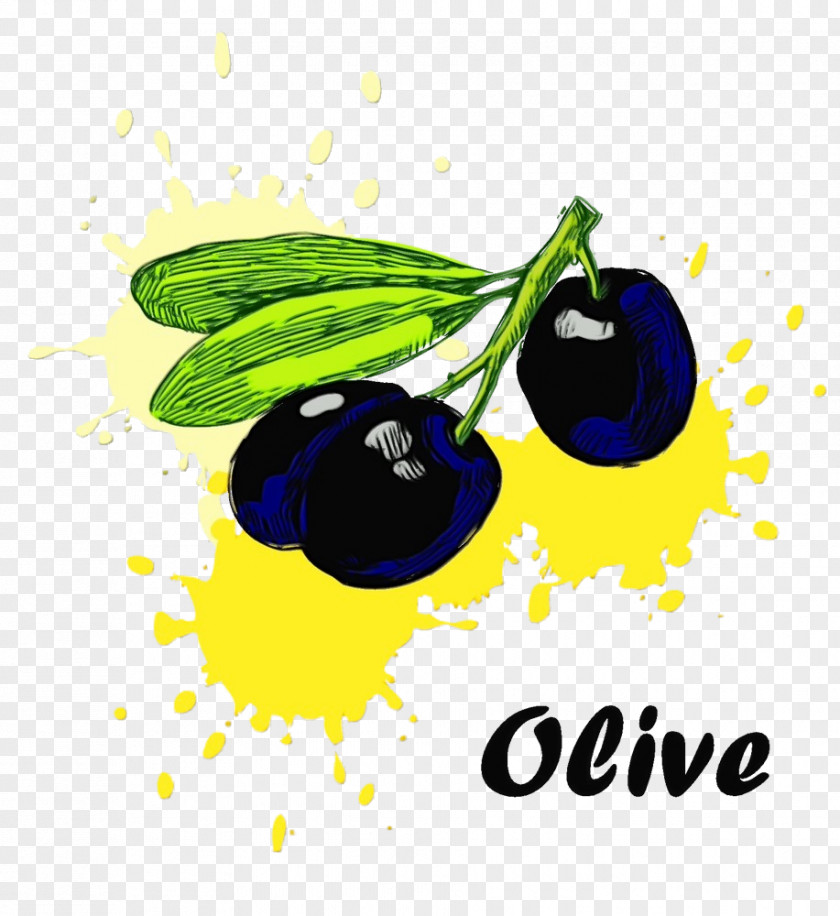 Fruit European Plum Olive Plant Berry PNG