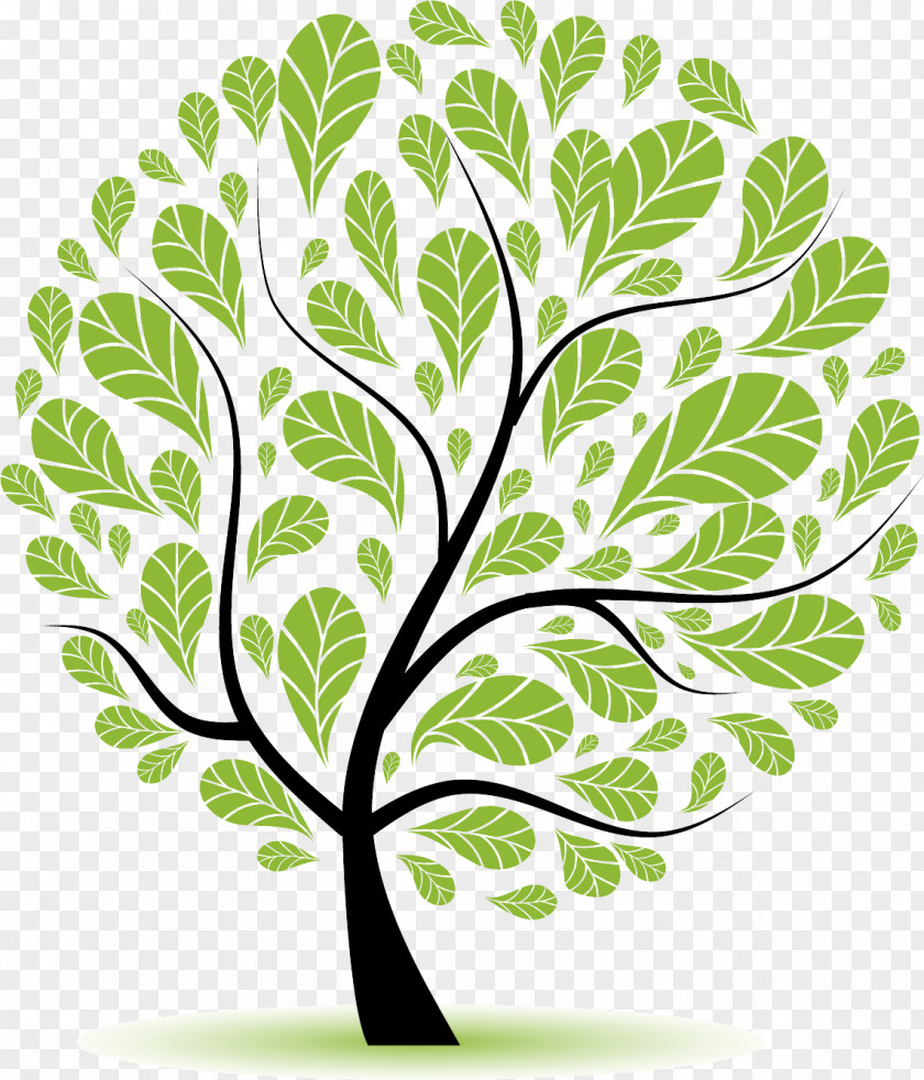 Fruit Tree PNG