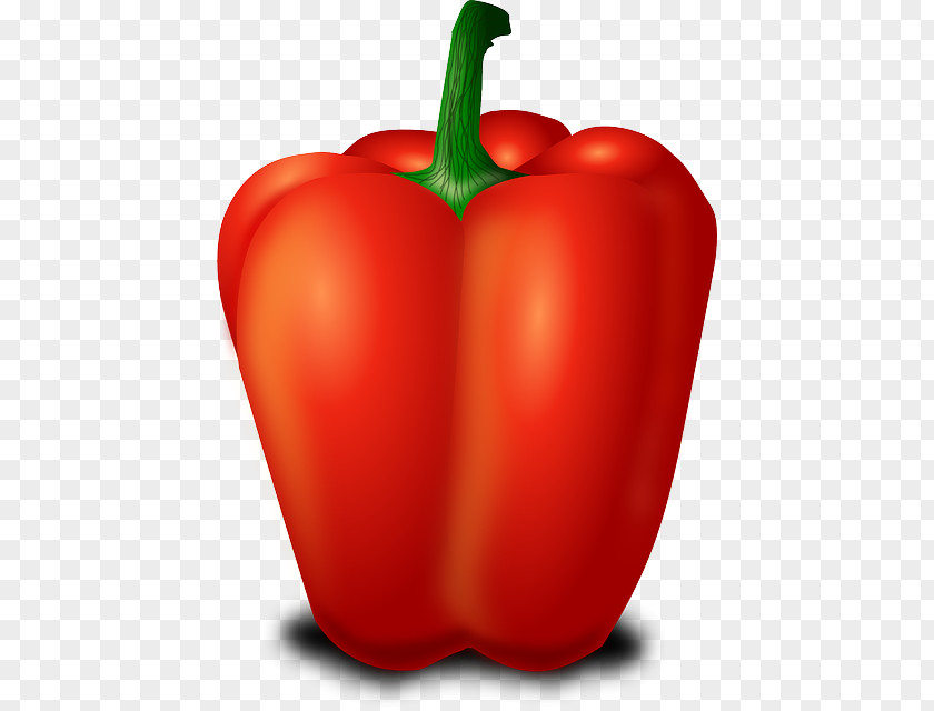 Mashed Bell Pepper Clip Art Peppers Chili Openclipart PNG