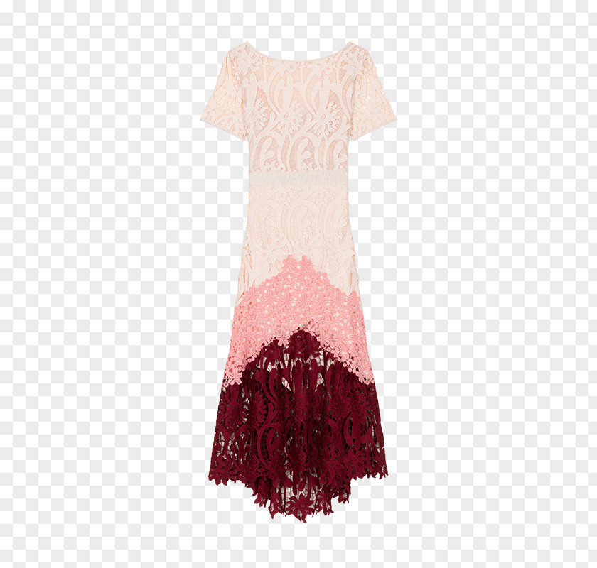 Mini Amazing Dresses Dress Clothing Lace Sleeve Fashion PNG
