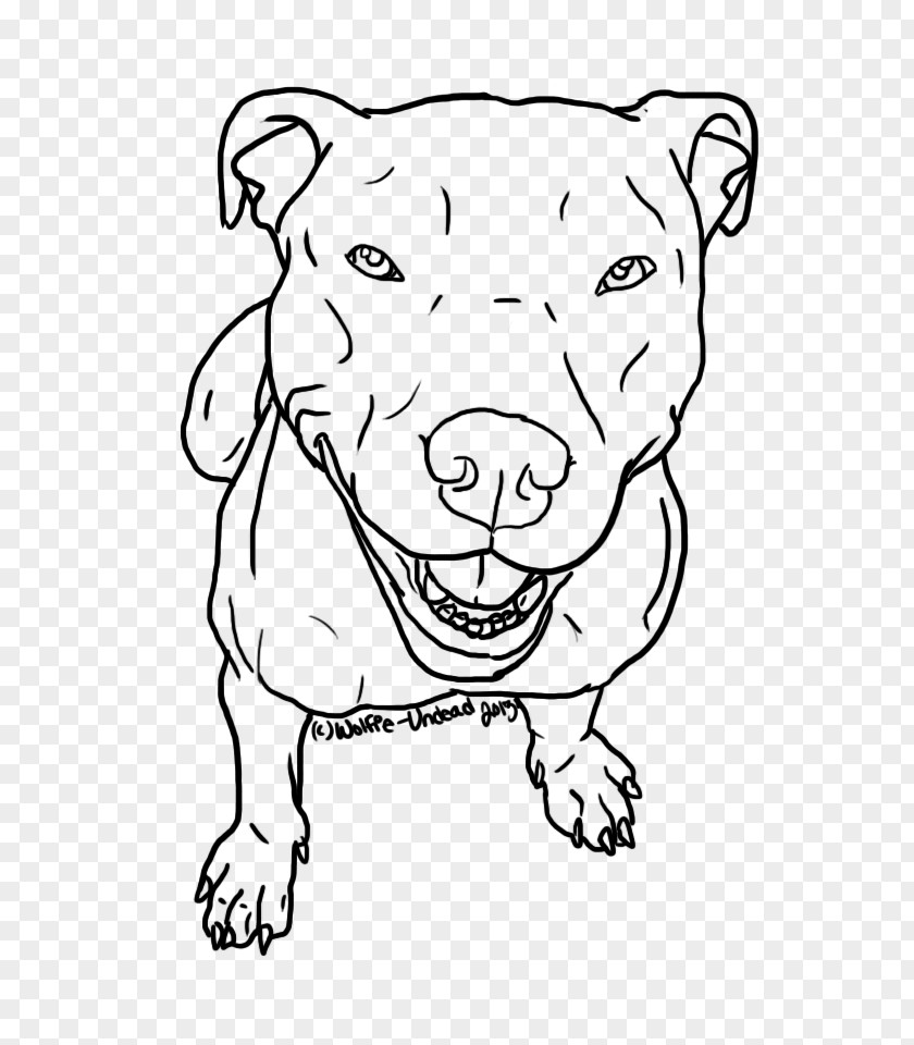 Pitbull American Pit Bull Terrier Line Art Drawing Sketch PNG