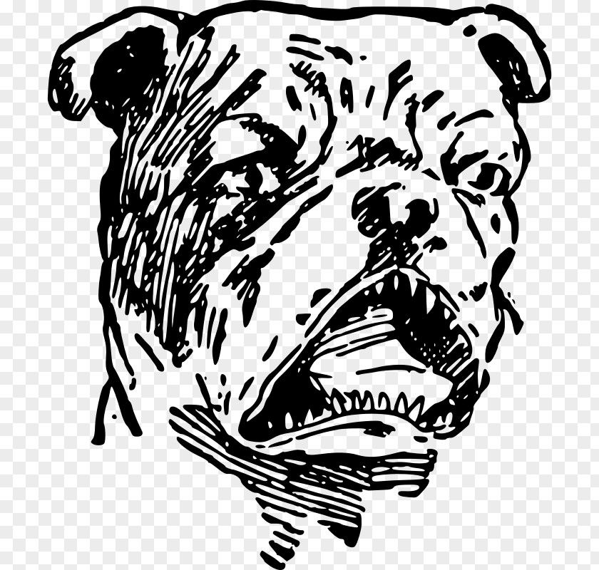 Puppy Dog Breed Olde English Bulldogge Non-sporting Group Clip Art PNG