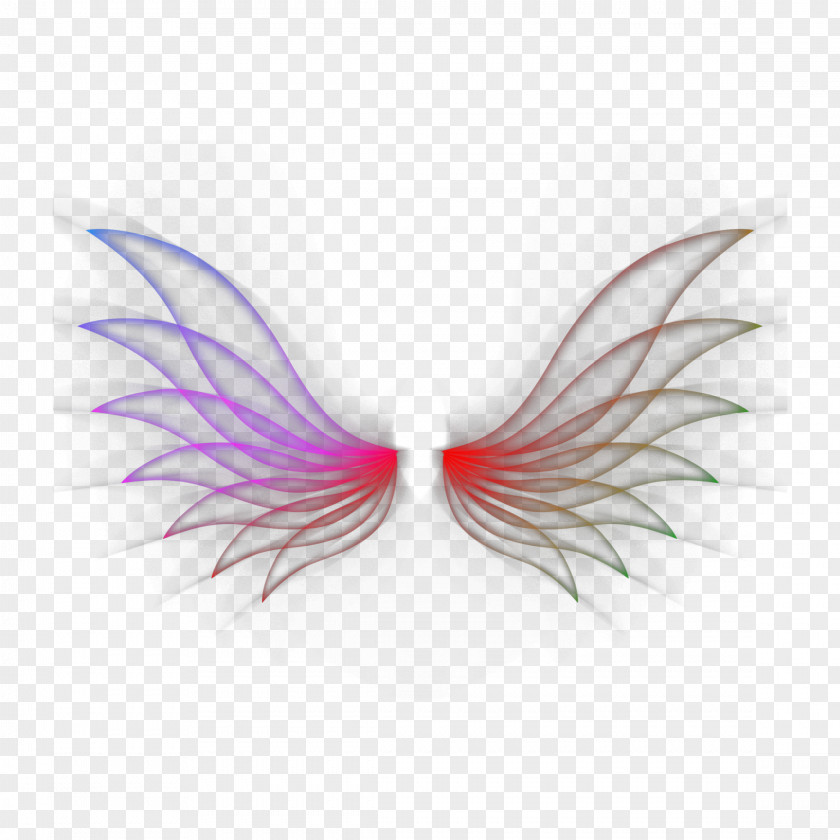 Fictional Character Butterfly White Wing Pink Eyelash PNG