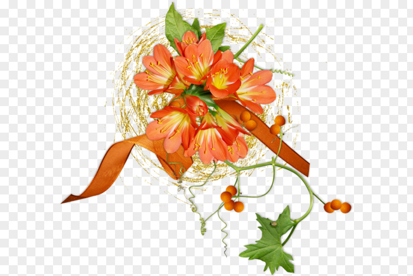 Floral Design Cut Flowers Orange Photography PNG