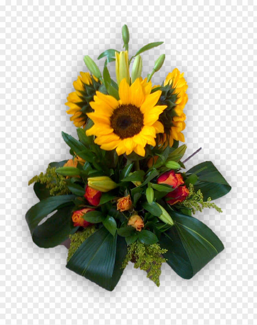 Flower Common Sunflower Floral Design Cut Flowers Transvaal Daisy Bouquet PNG
