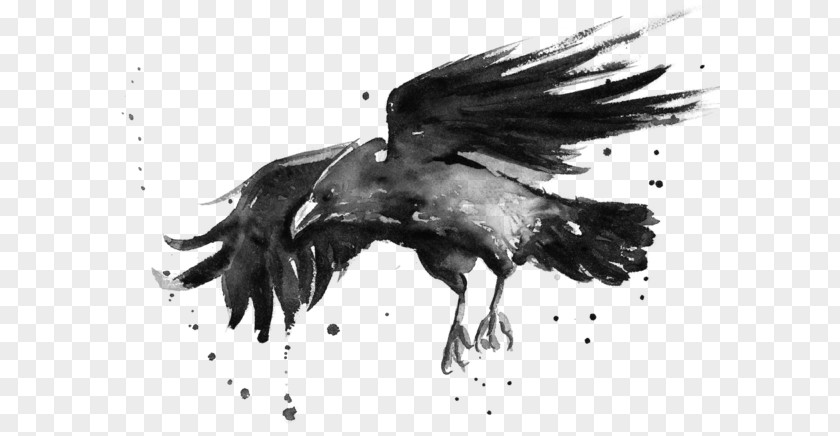 Flying Ravens Watercolor Painting Art Watercolor: Animals Printmaking PNG
