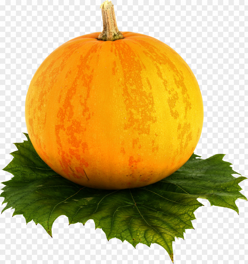 Melon Butternut Squash Cantaloupe Korean Pumpkin PNG