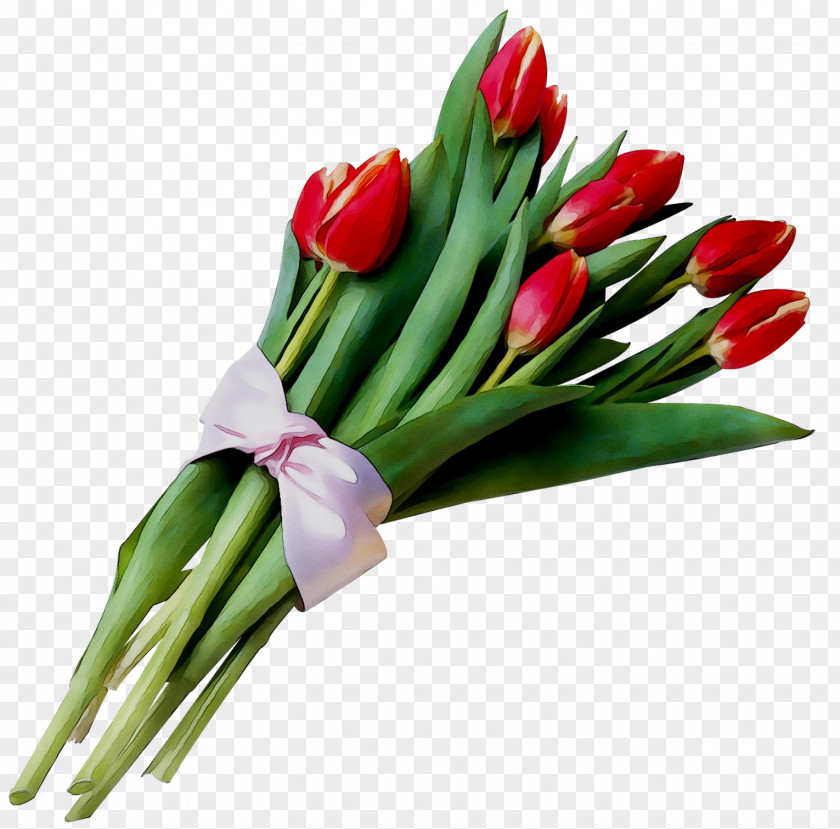 Tulip International Women's Day Flower Bouquet Floral Design PNG