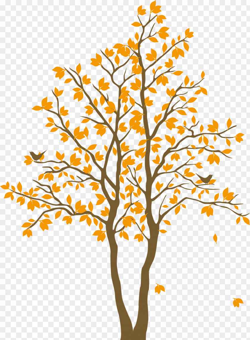 Yellow Maple Tree PNG