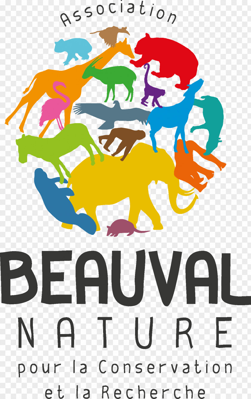 ZooParc De Beauval Conservation Nature Research PNG