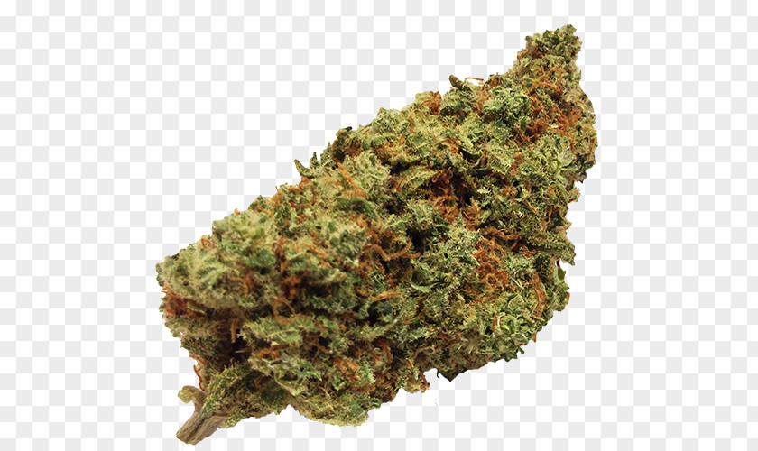 Marijuana Cannabis Sativa Kush Cannabidiol Medical PNG