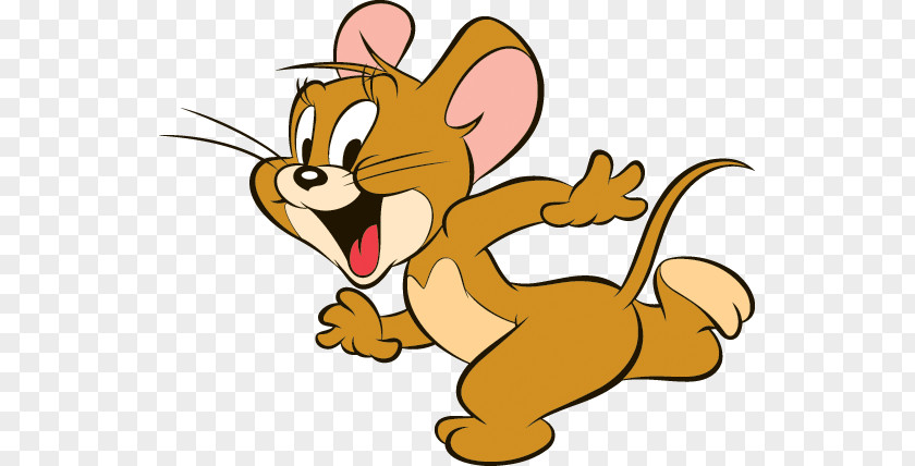 Tom And Jerry Mouse Cat Drawing Cartoon PNG
