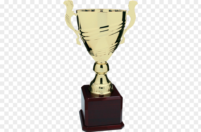Base Trophy Award Medal Cup Commemorative Plaque PNG
