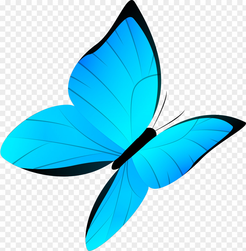 Blue Butterfly Cartoon Vector Drawing PNG