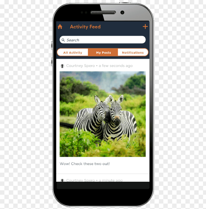 Creative Travel Desktop Wallpaper Maasai Mara High-definition Television Safari PNG