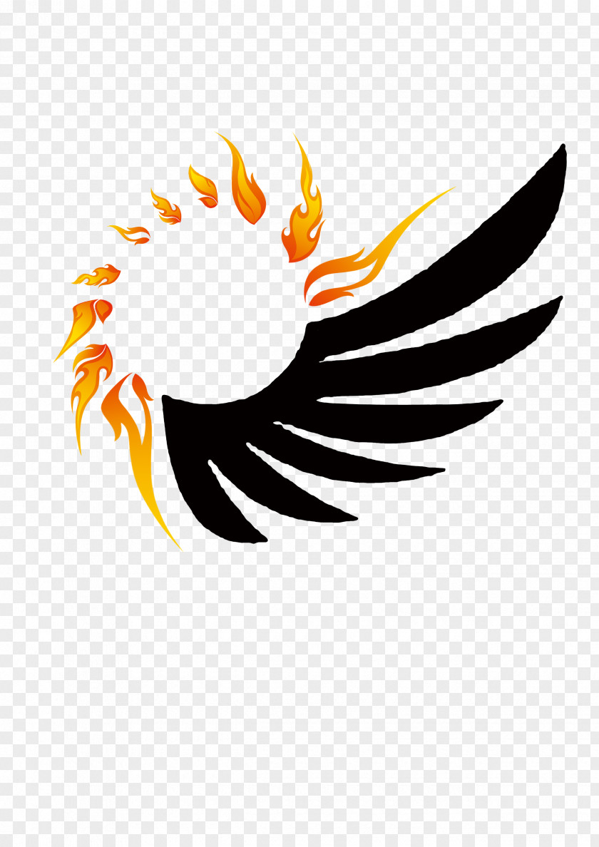 Fire Wings Design Wing Flame PNG
