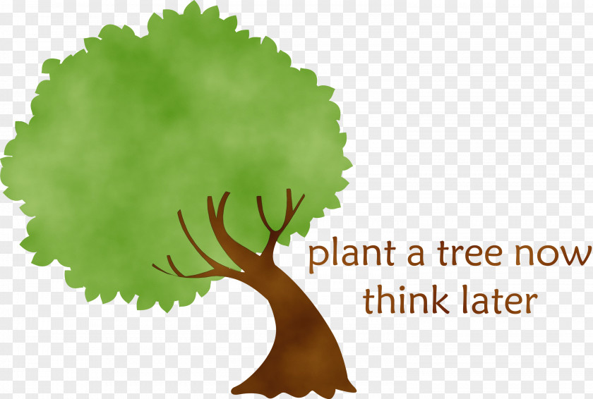 Fruit Tree PNG