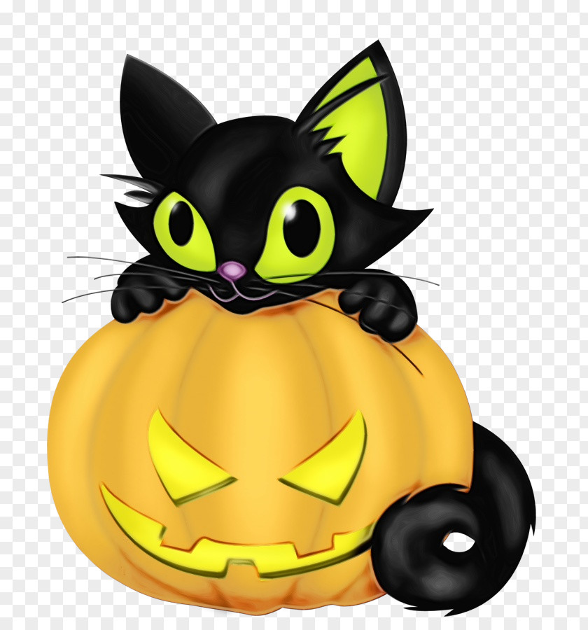 Kitten Whiskers Halloween Cat Drawing PNG