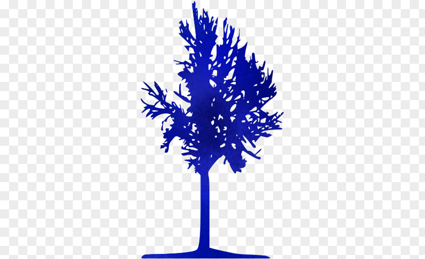 Branch Plant Cobalt Blue Tree Electric Leaf PNG