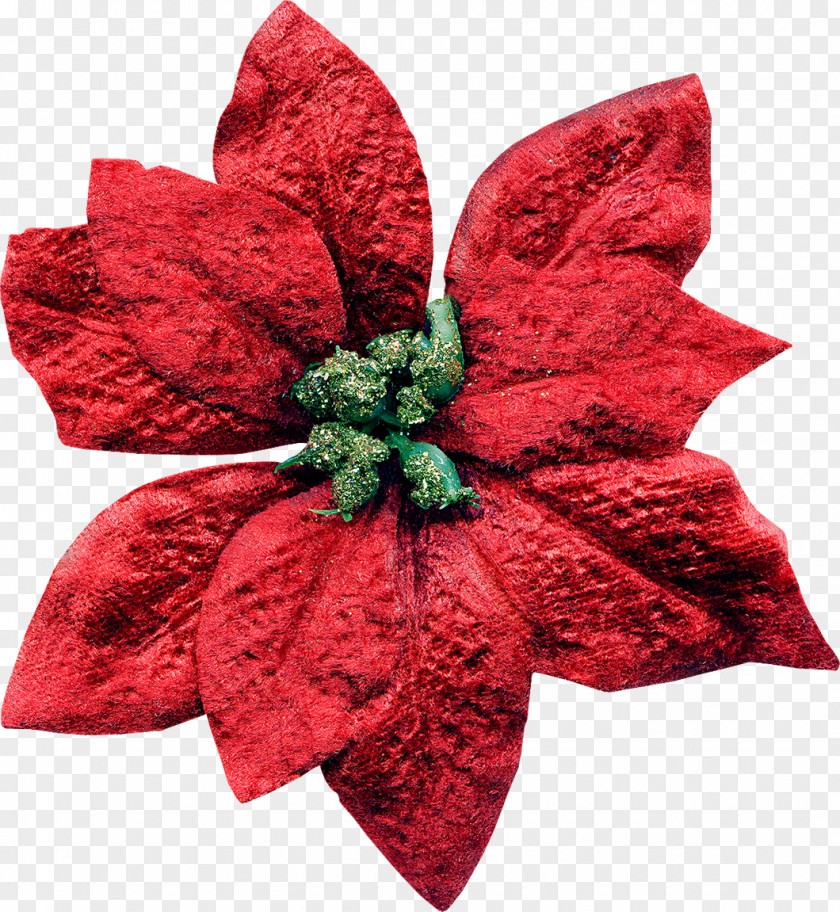 Flower Cut Flowers Christmas Decoration Ornament Petal PNG