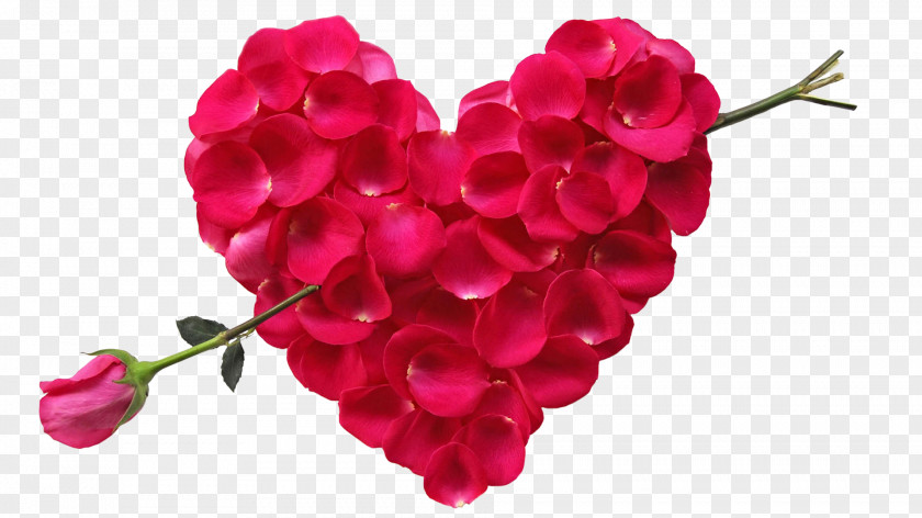 Rose Petals Spell Of Cupid Flower Bouquet Heart Petal PNG
