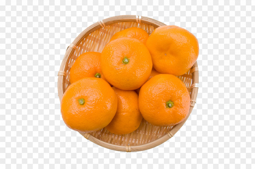 Orange Clementine Juice Mandarin Tangelo Tangerine PNG
