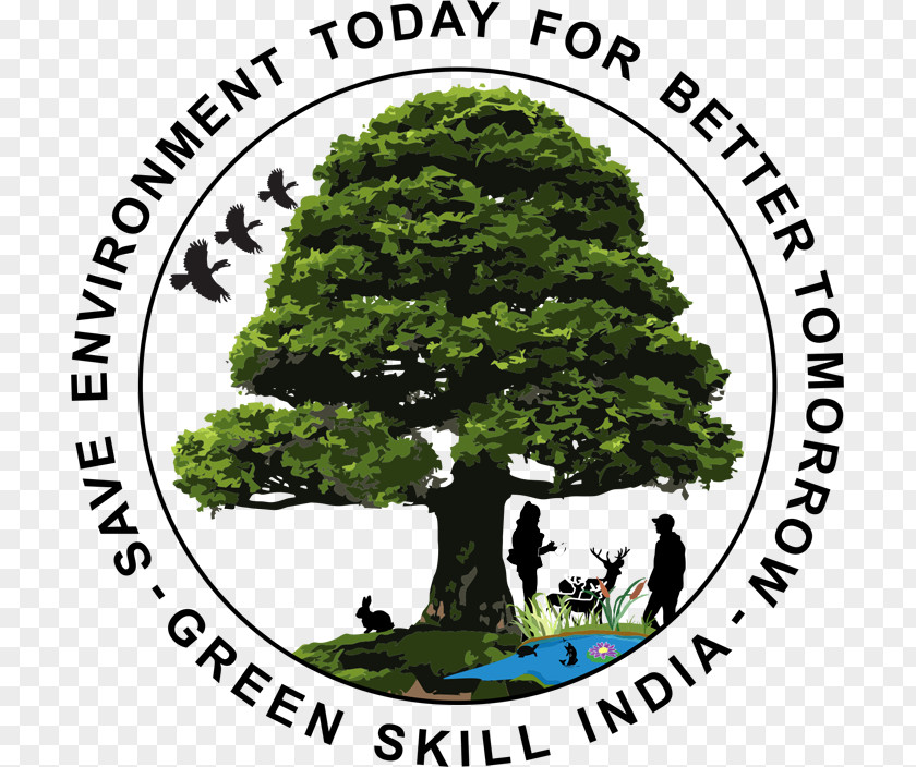 United States Bonsai Government Of India Organization Tree PNG