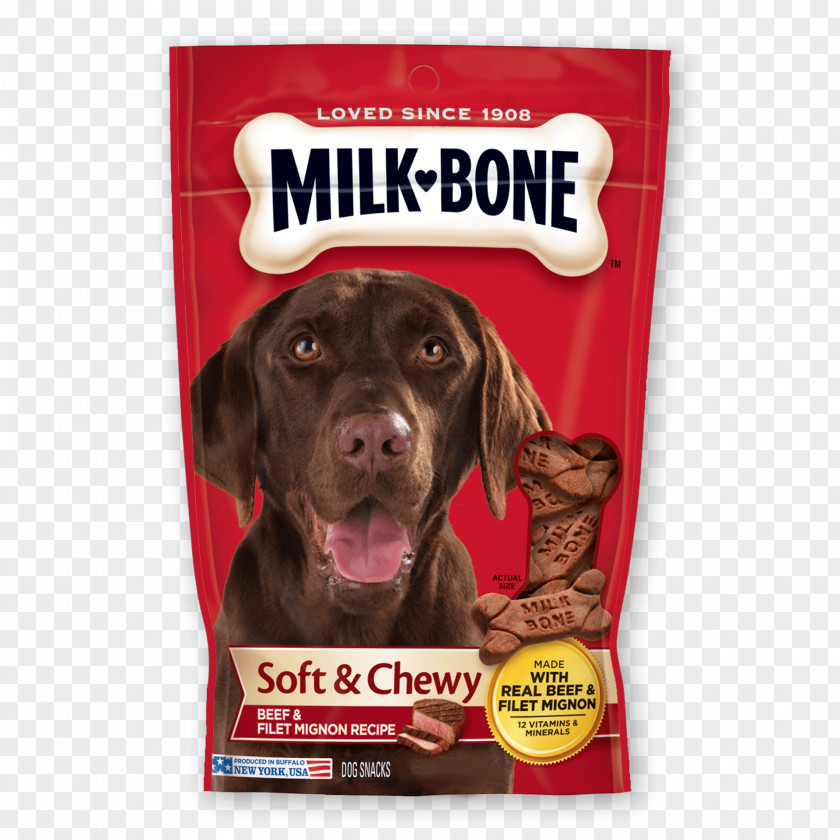Bone Dog Biscuit Milk-Bone Puppy Meat PNG