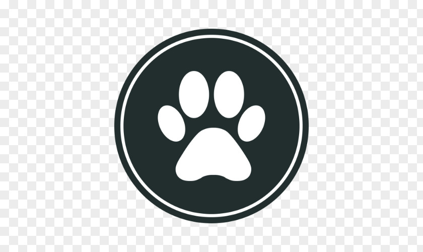 Dog Pet Veterinarian PNG