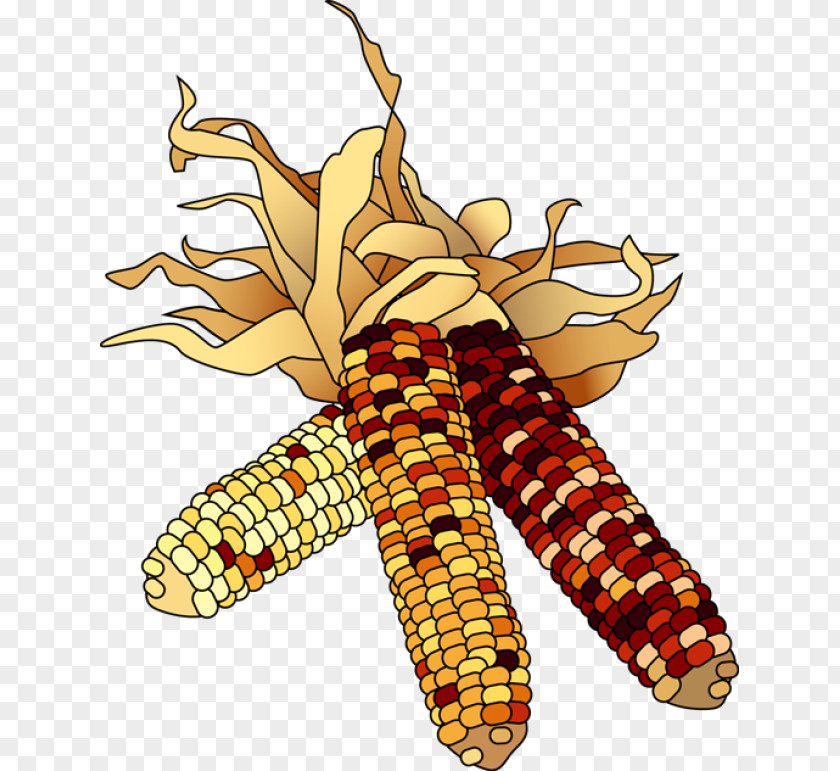 Fall Corn Cliparts November Free Content Clip Art PNG