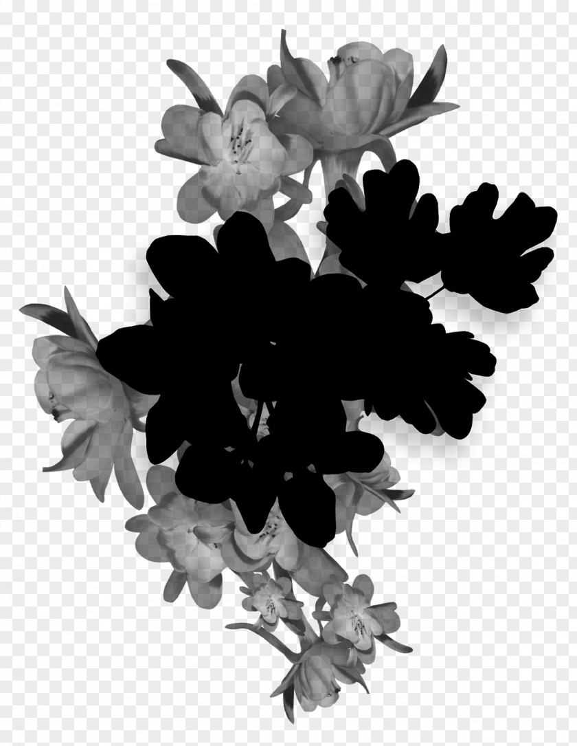 Floral Design Rose Family Cut Flowers PNG