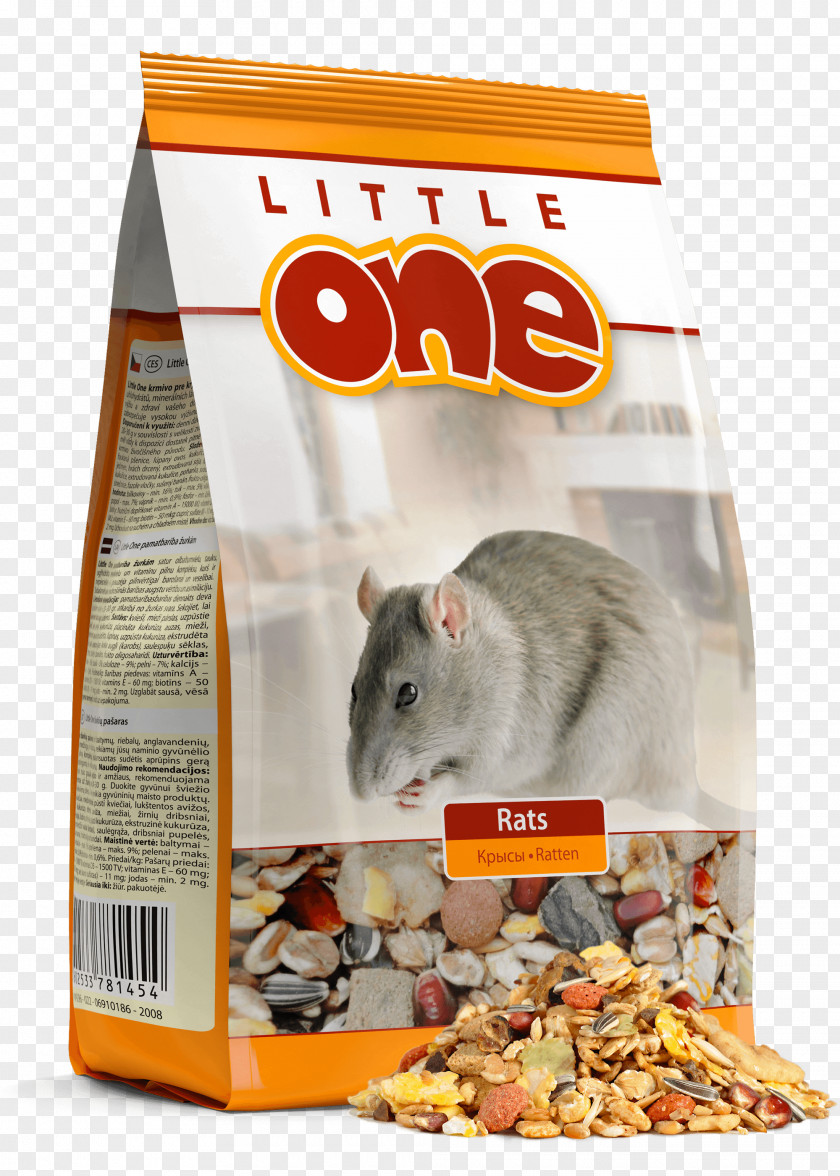 Rat Fodder Food Gerbil Rabbit PNG