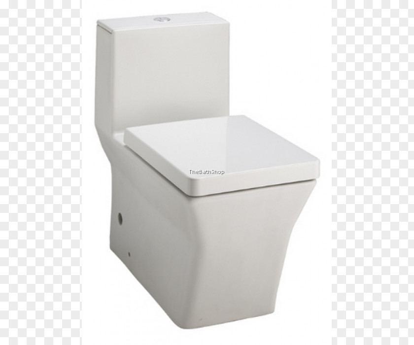 Toilet Kohler Co. Dual Flush Roca Bathroom PNG