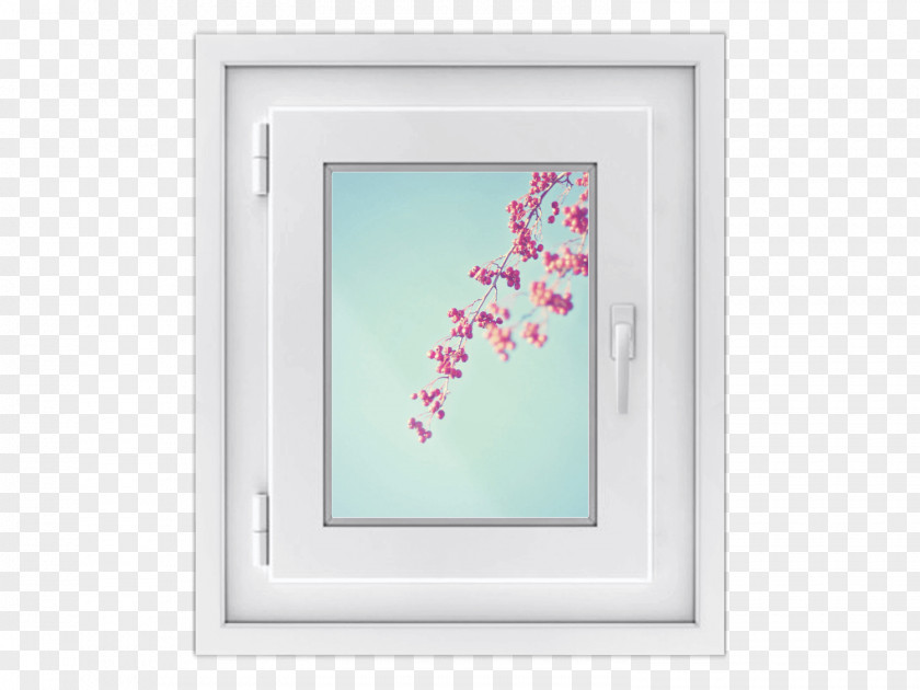 Window Picture Frames Pink M Turquoise Rectangle PNG
