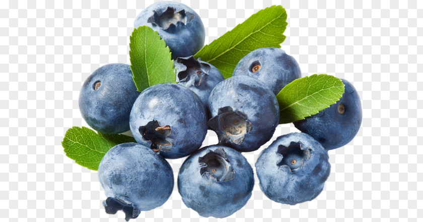 Blueberry Fruit Cannabidiol Hemp Oil Extract PNG