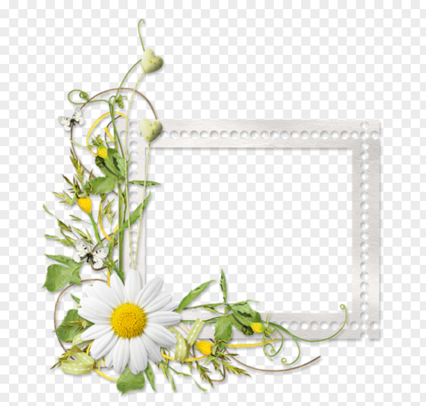 CLUSTER FRAME Picture Frames Floral Design Flower PNG