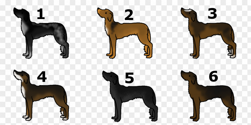 Dog Breed Wildlife Tail PNG