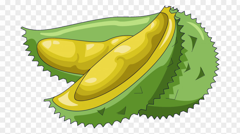 Durian Pancake Mooncake Fruit Clip Art PNG
