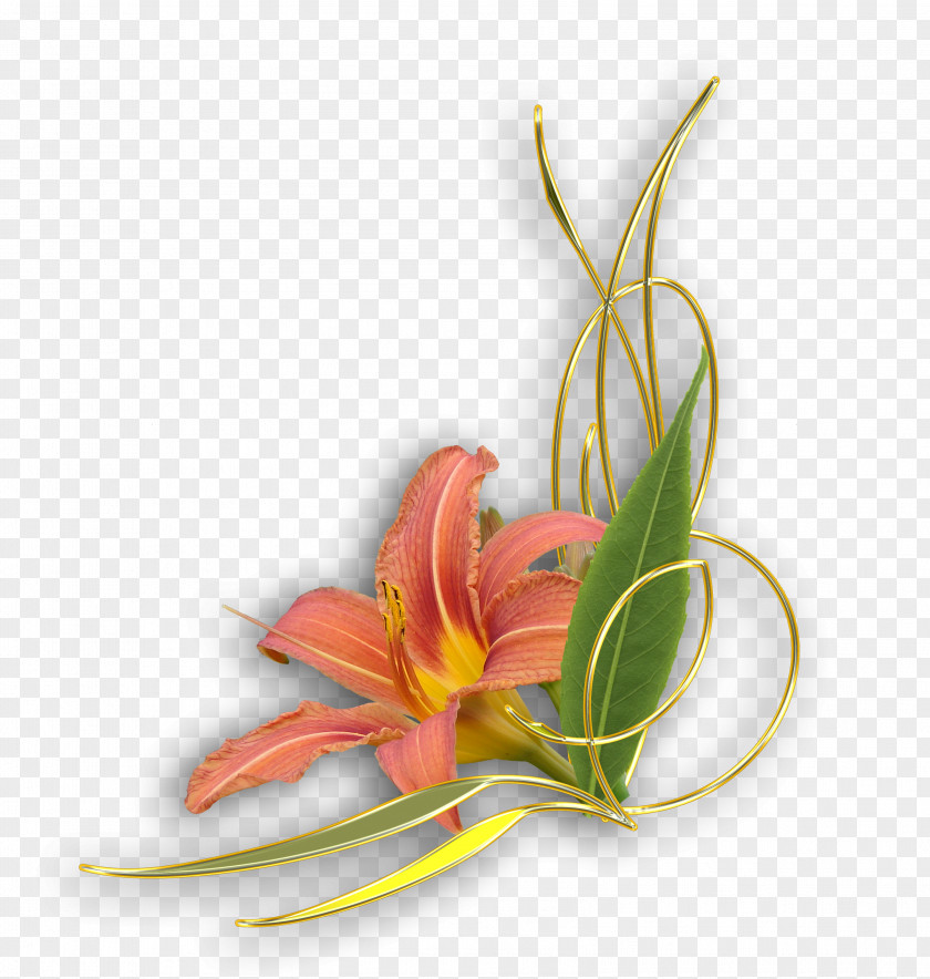 Flower Photography PNG